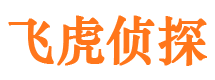 龙门市调查公司